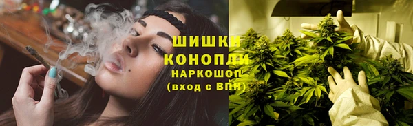 каннабис Бородино